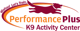 Performance Plus K9 Activity Center